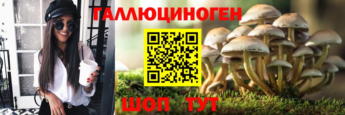 Галлюциногенные грибы Cubensis  Вход с VPN  Шахты  Псилоцибиновые грибы Psilocybine cubensis 